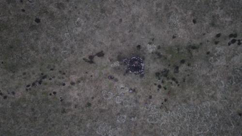 DJI_2275.JPG